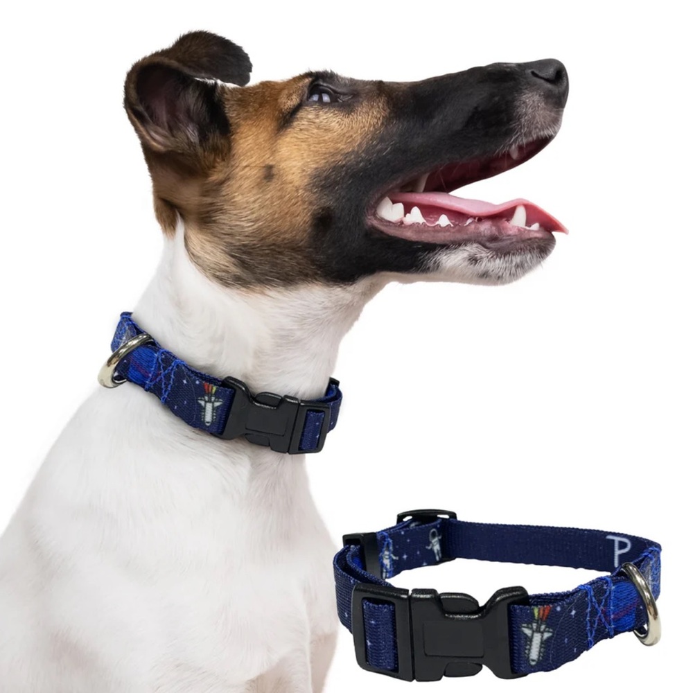 Perri’s Pet Products Space Moon Astronaut Adjustable Dog/Cat Collar Small